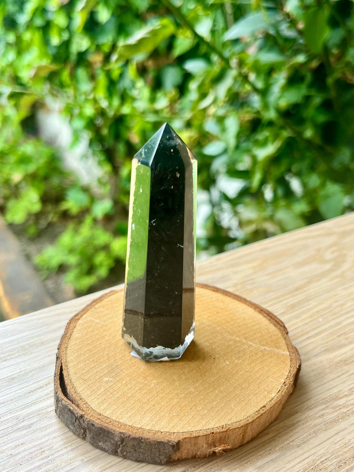 PUNTA GENERADOR ORGANITA SHUNGITA (1 ud)