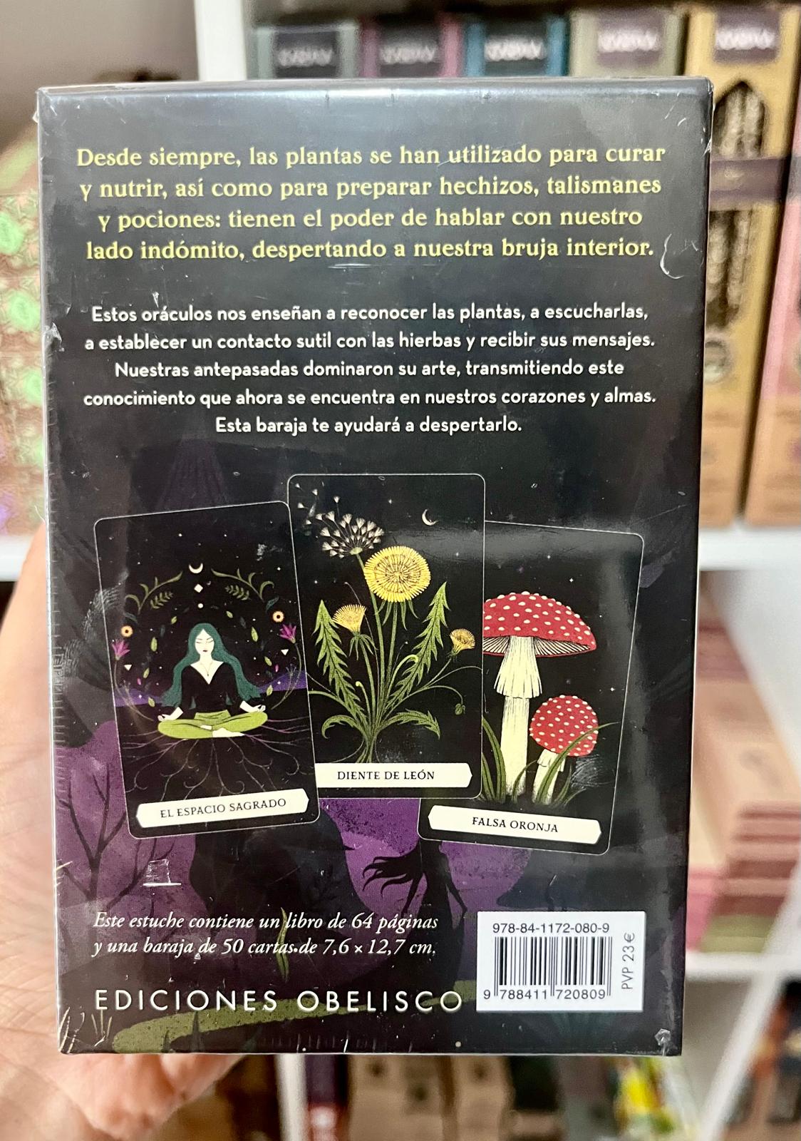 EL ORÁCULO SECRETO DE LA BRUJA VERDE (LIBRO +50 CARTAS)