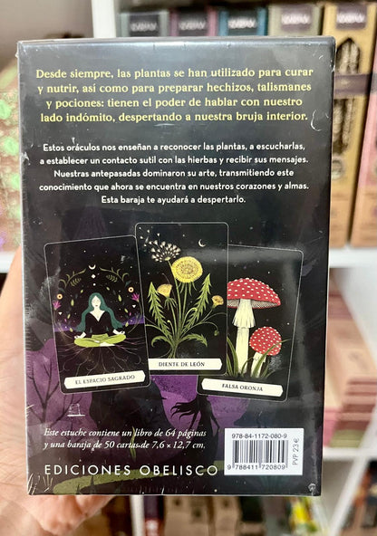 EL ORÁCULO SECRETO DE LA BRUJA VERDE (LIBRO +50 CARTAS)