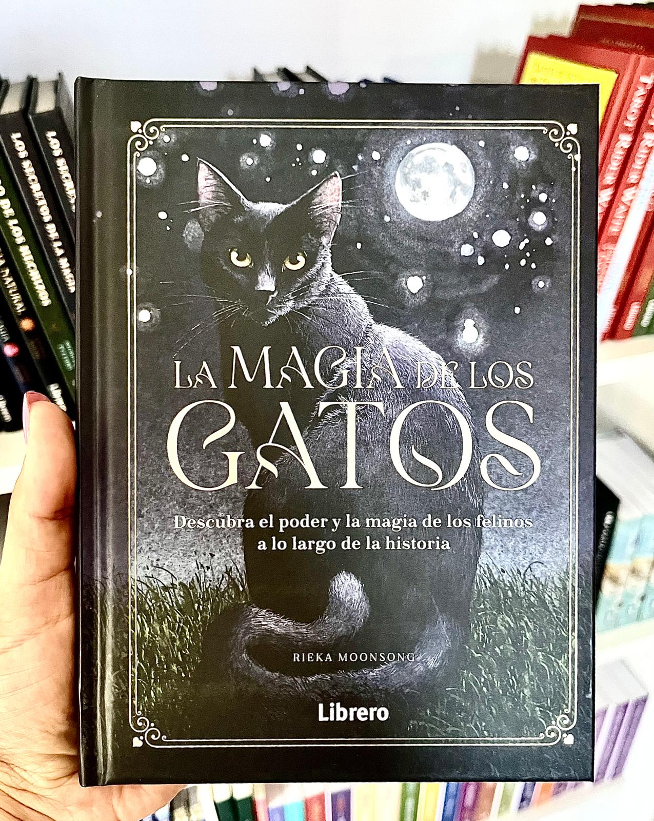 LA MAGIA DE LOS GATOS